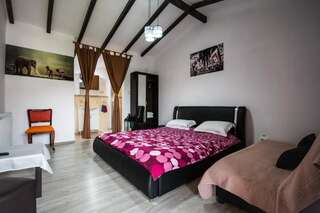 Отели типа «постель и завтрак» Blackberries House Тыргу-Окна Улучшенный номер с кроватью размера «king-size»-7