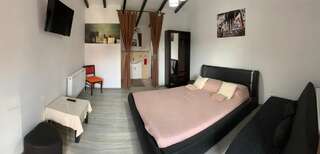 Отели типа «постель и завтрак» Blackberries House Тыргу-Окна Улучшенный номер с кроватью размера «king-size»-5